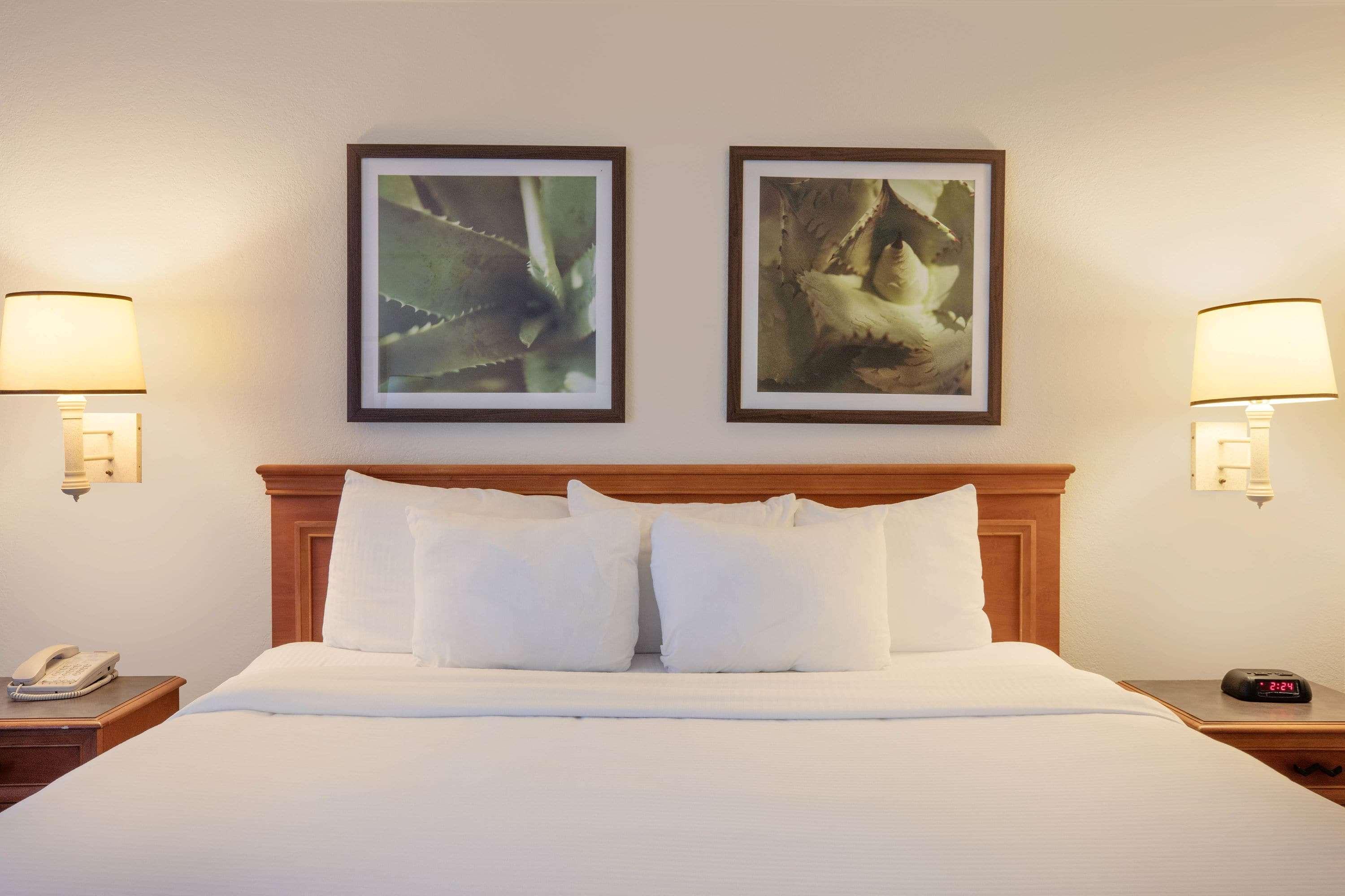 Baymont By Wyndham Daytona Beach - Intl Speedway Bagian luar foto